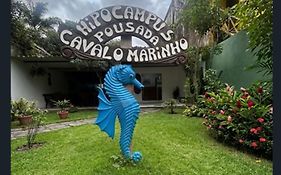 Pousada Cavalo Marinho